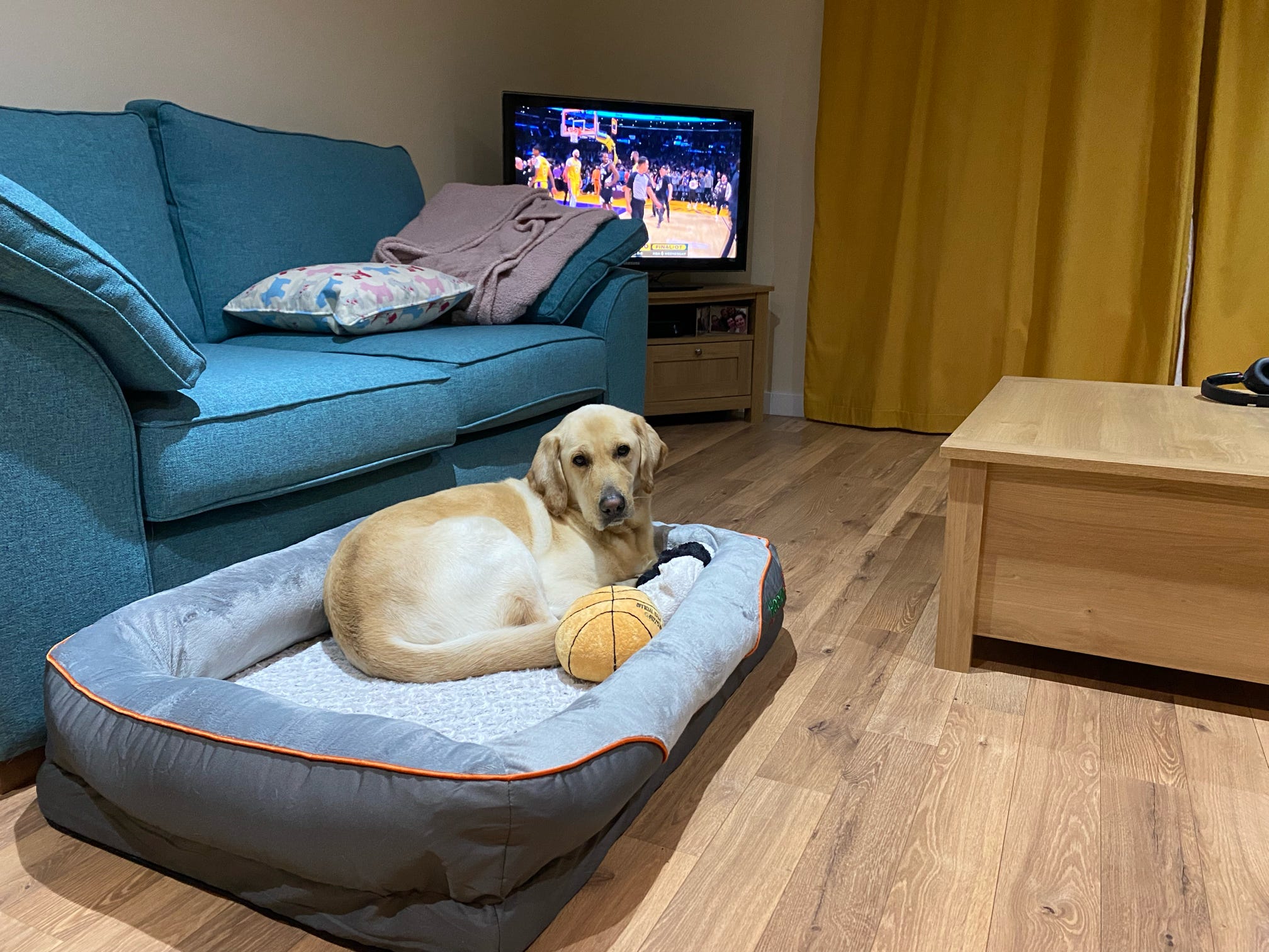 Orthopaedic Dog Bed (XL)