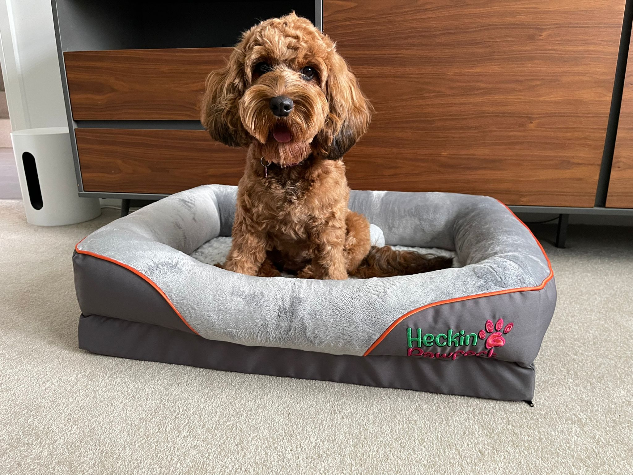 Orthopaedic Dog Bed (Medium)