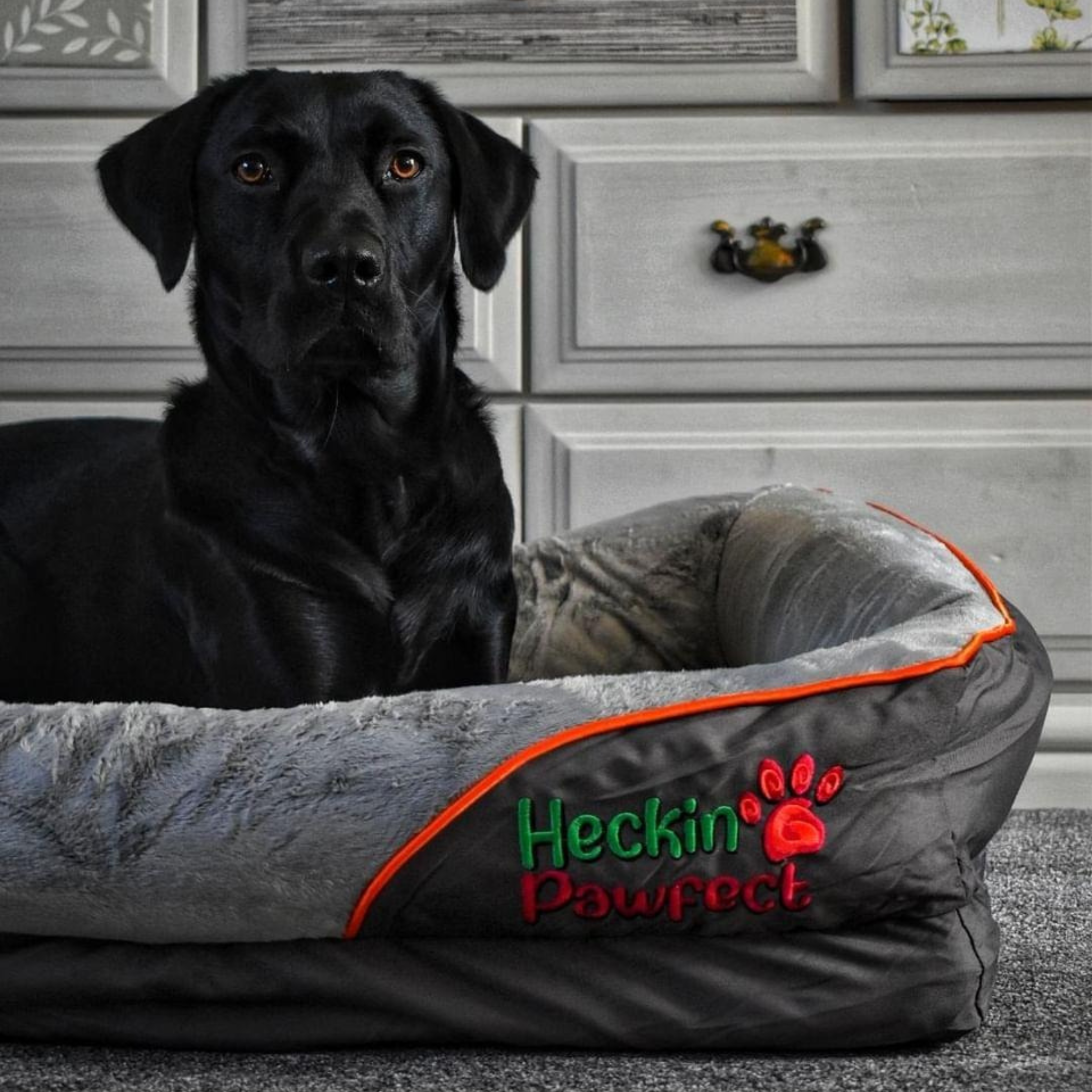 Large Orthopaedic Dog Bed