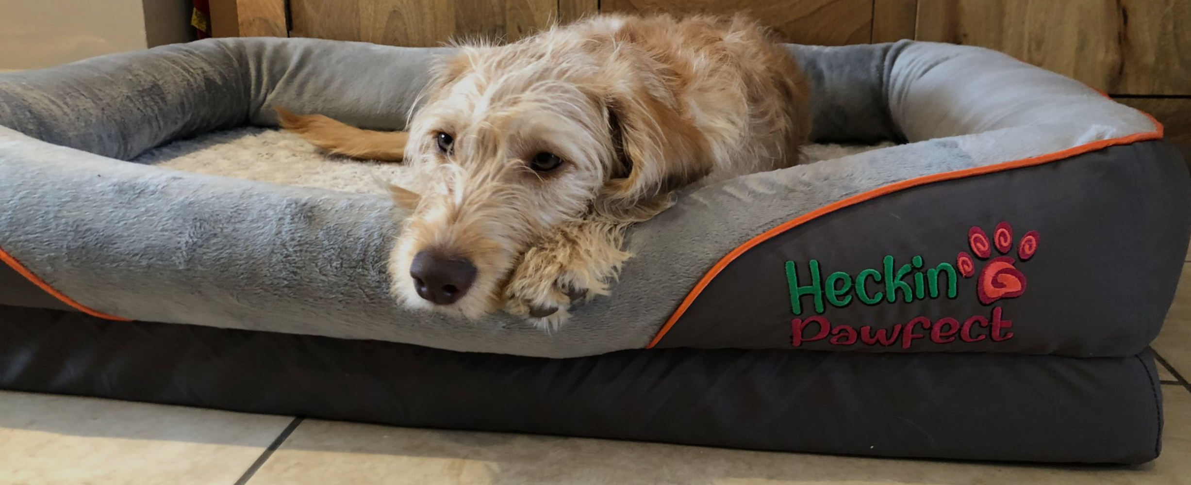 OrthopaedicDogBedImage