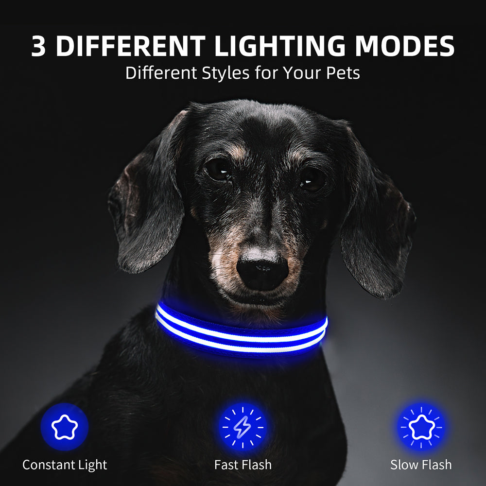 LED Dog Collar (Pink)