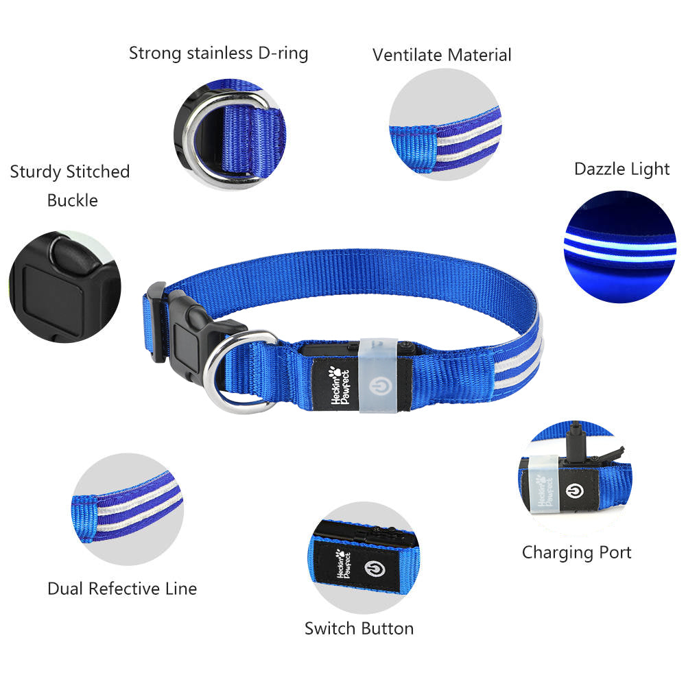 LED Dog Collars