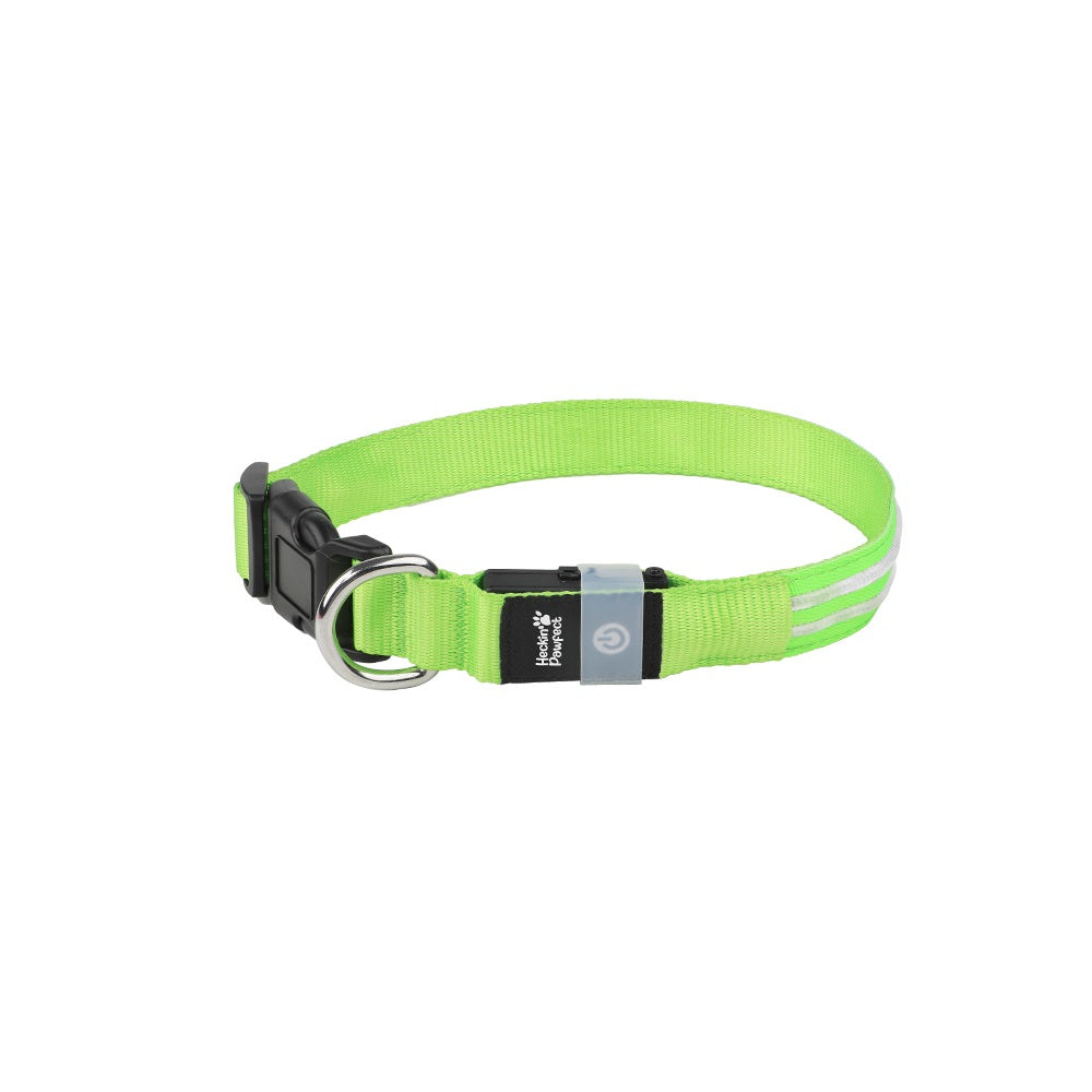 LED Dog Collar (Green)