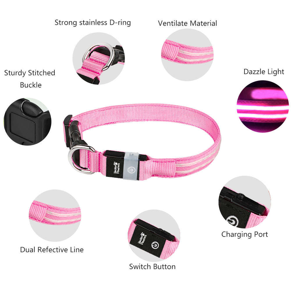 LED Dog Collar (Pink)