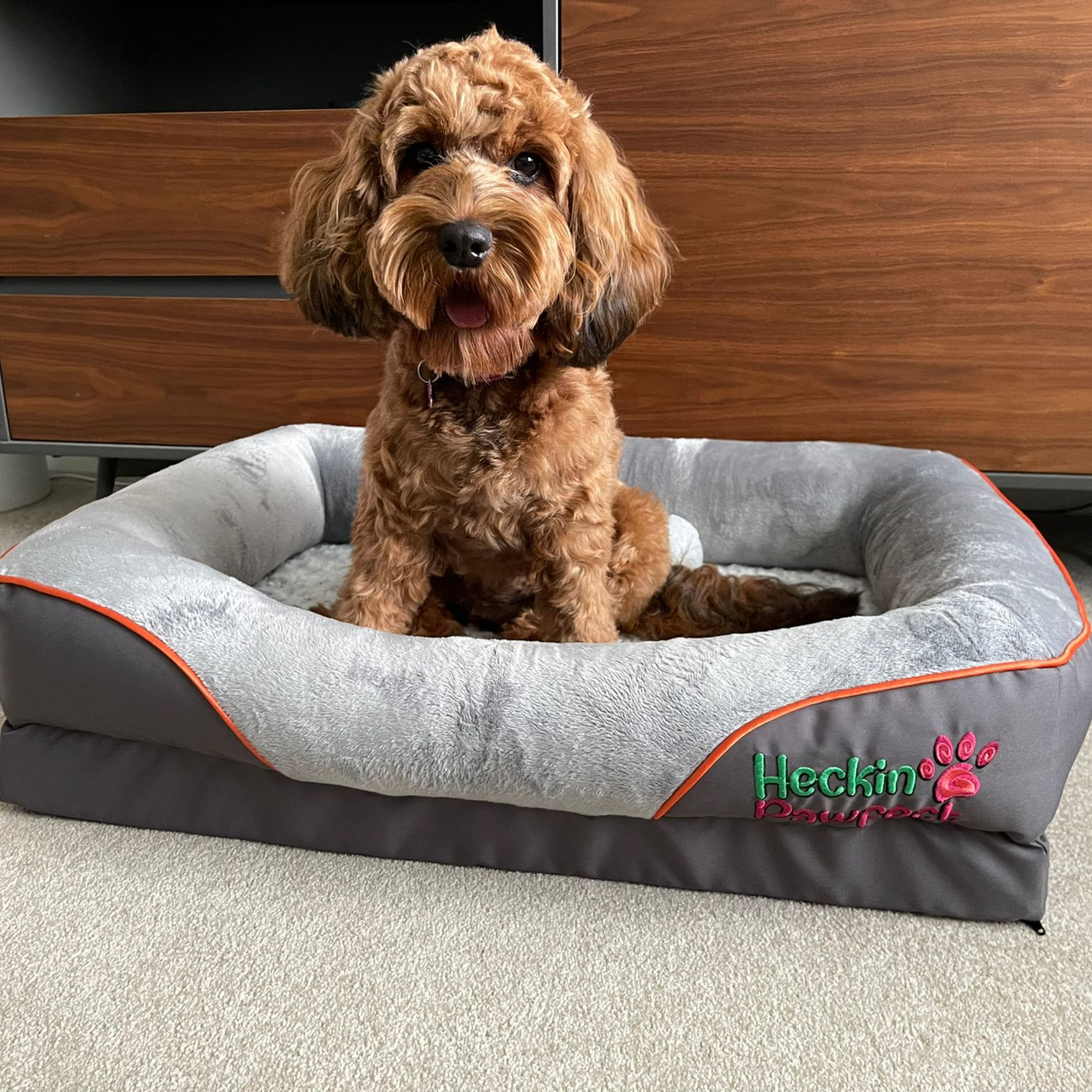 Orthopaedic Dog Beds