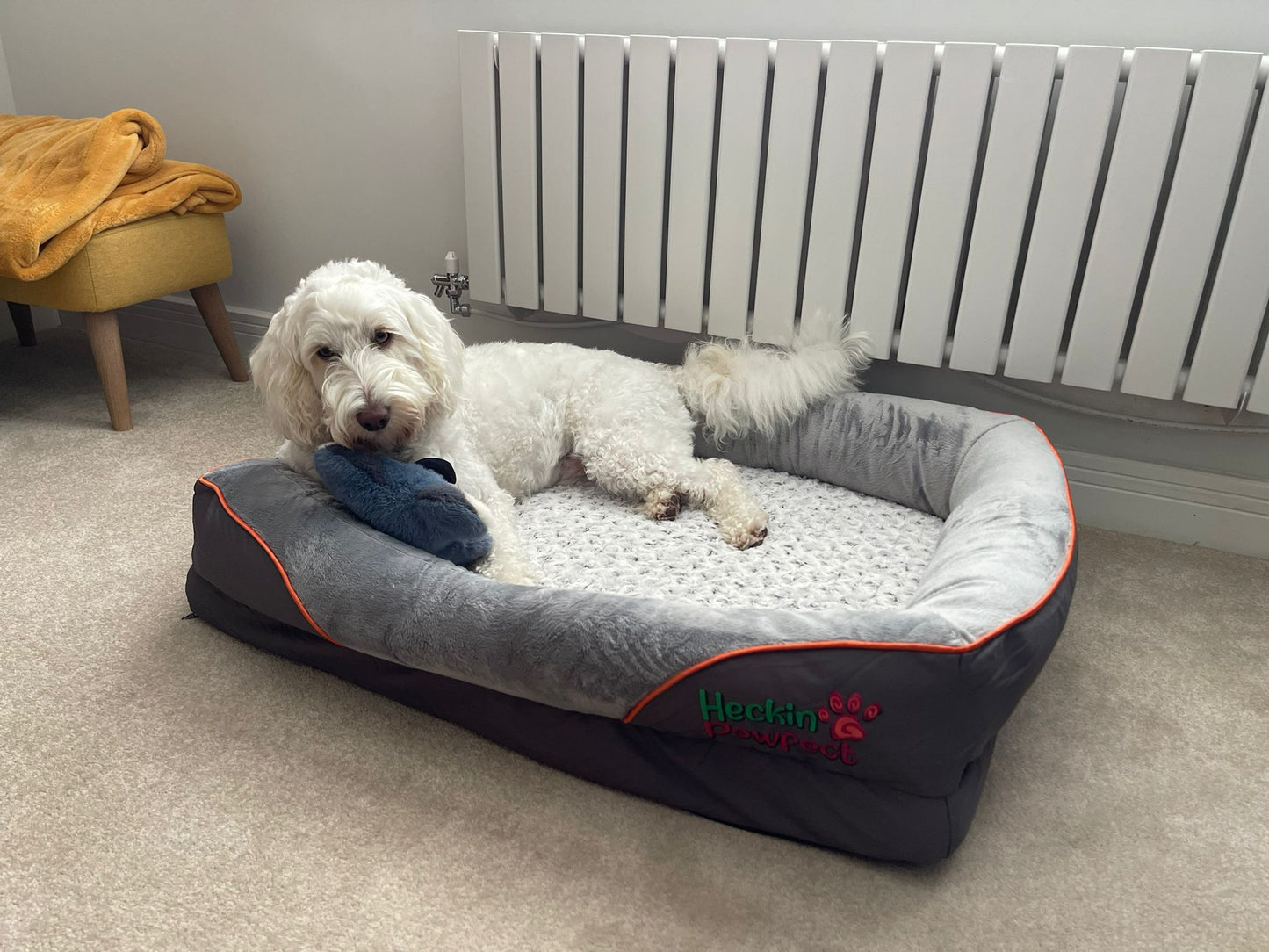 Orthopaedic Dog Bed (Large)