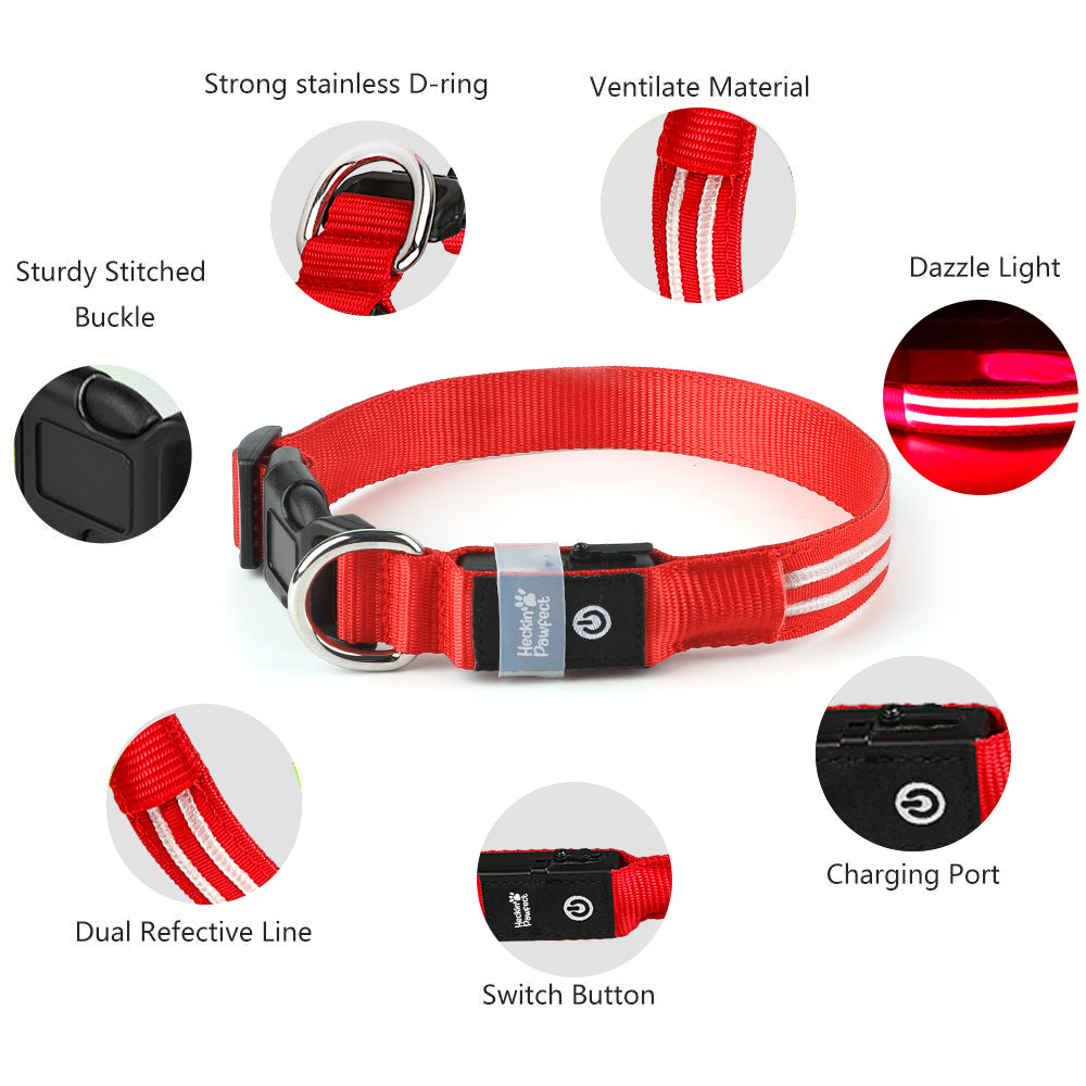 LED Dog Collar (Red)