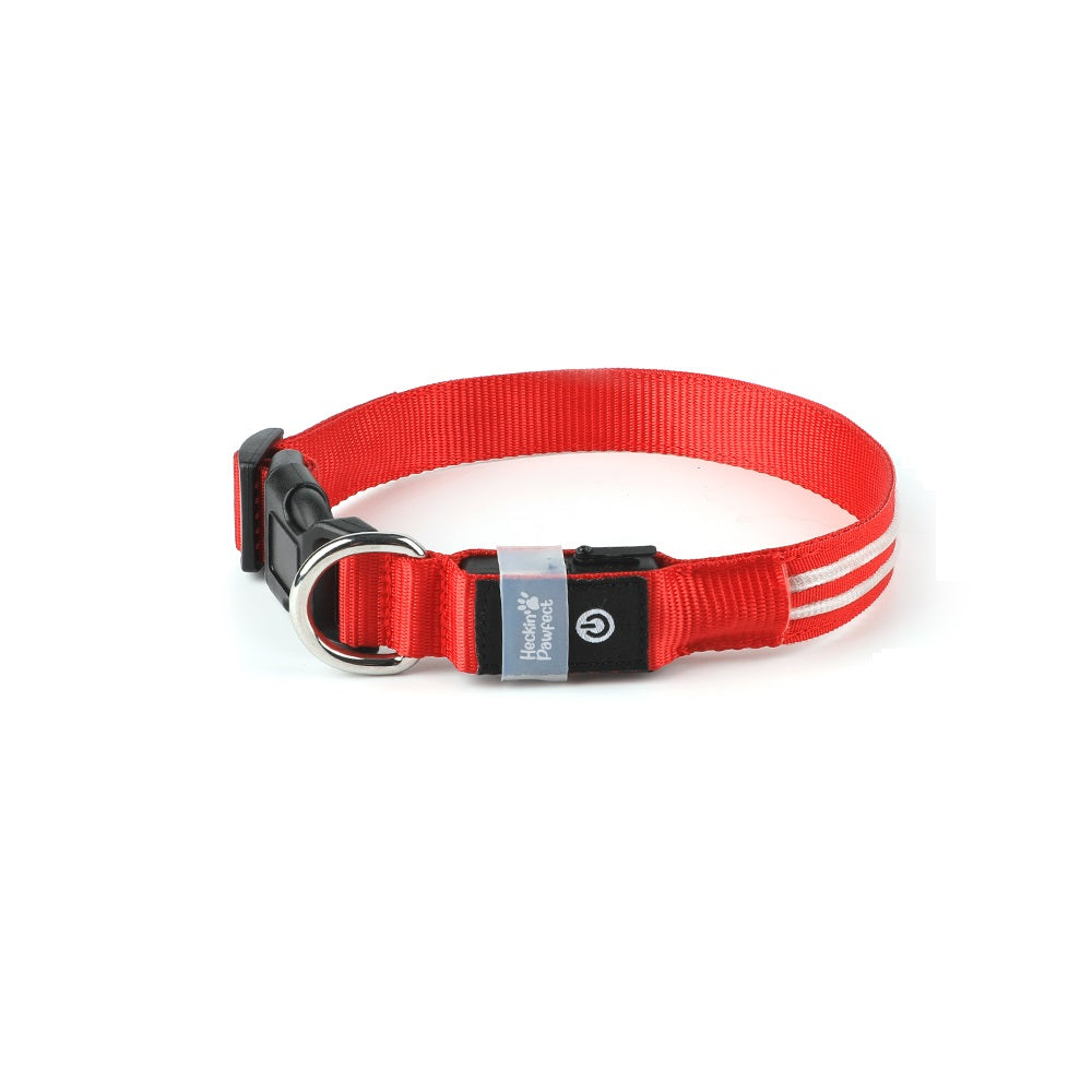LED Dog Collar (Red)
